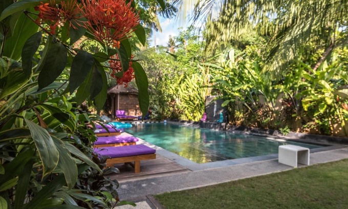 Pemuteran Hotel | Arjuna Homestay