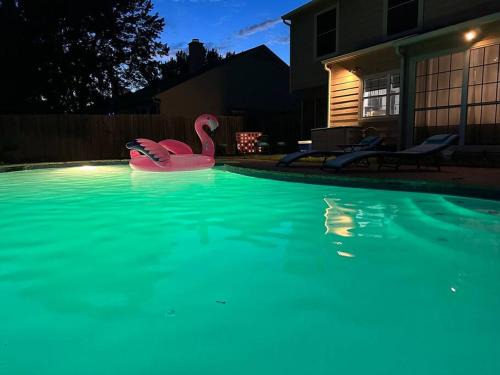 South Arlington Casa | Arlington Oasis with a Pool