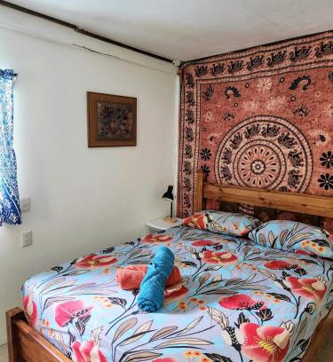 Punta Uva Apartamento | Armonía Punta Uva