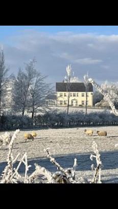 Omagh Cama Y Desayuno | Arney Lodge Farm