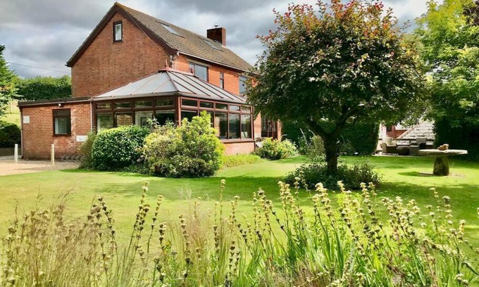 New Forest District Casa | Arniss New Forest