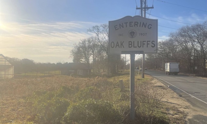 Oak Bluffs Casa | ,Artist Guest House on beautiful estate open concept King Sized Bunk Beds