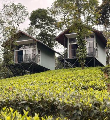 Elappara Hotel | Arvion Holidays
