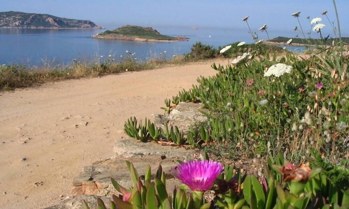 Monte Petrosu Apartamento | Asfodelia: vacaciones, mar y descanso en elegante apartamento