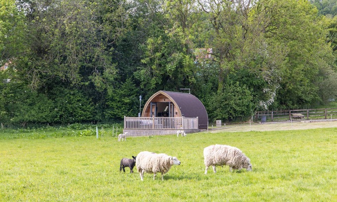 Ampleforth Cabaña | Ashberry Glamping Pod - sleeps 2