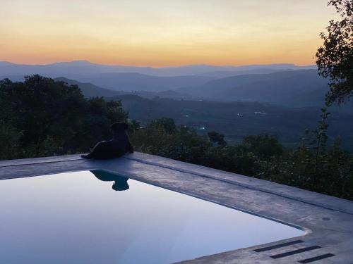 Hazyview Cama Y Desayuno | Ashbourne Country Escape Hazyview