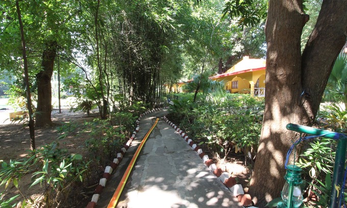 Tala Complejo | Ashoka Jungle Resort