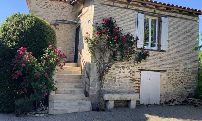 Douelle Casa | Ashy Heron - DOUELLE