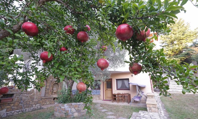 Souroti Apartamento | Aslanis-Souroti Garden FAMILY Suite
