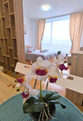 Razlog Apartamento | Aspen Golf Resort C207, free SPA