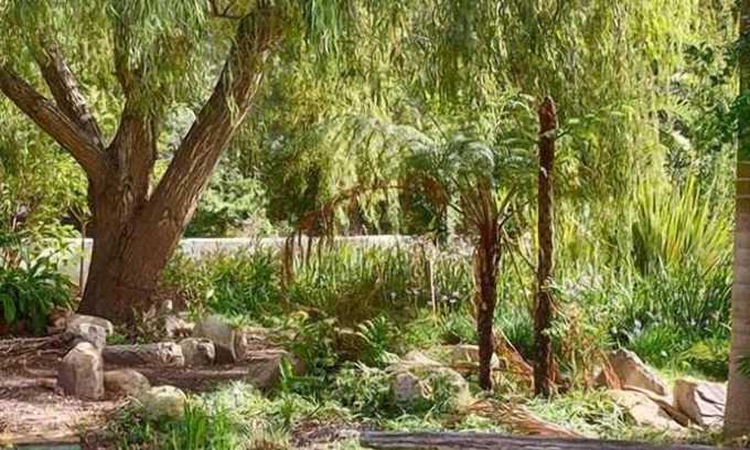 Kareedouw Casa | Assegaaibosch Country Lodge