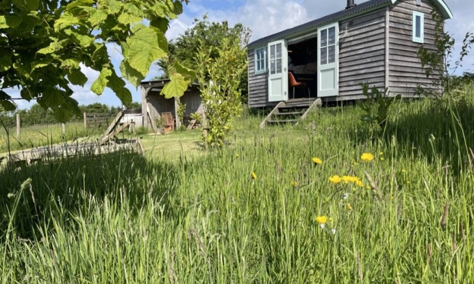 Beaminster Alquiler De RV | Astronomer Hut-glorious views with hot tub