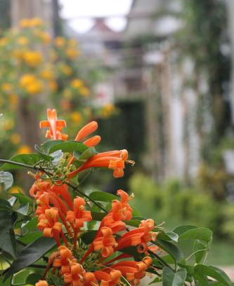Arusha Apartamento | At Home Suites, Moshono Garden Arusha