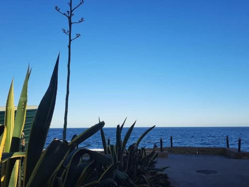 La Chullera Apartamento | at jardines del mar