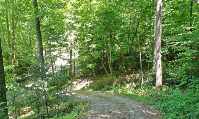 Blairsville Cabina | At My Cabin!