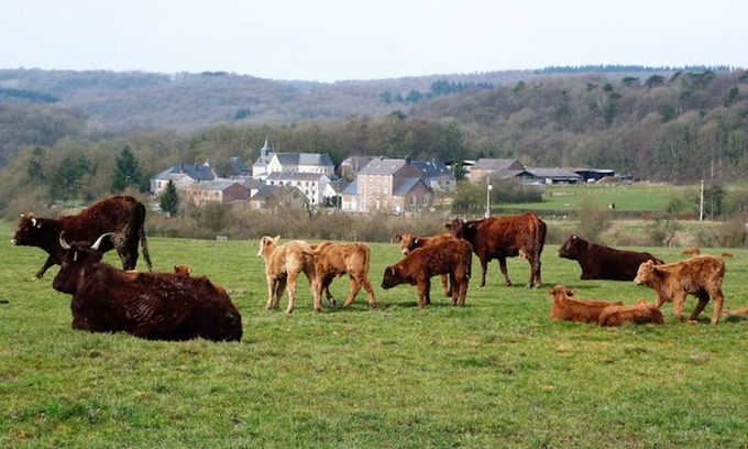Xhignesse Otro | Su casa rural en las Ardenas: 19,50 € por día por persona - Mejor precio garantizado