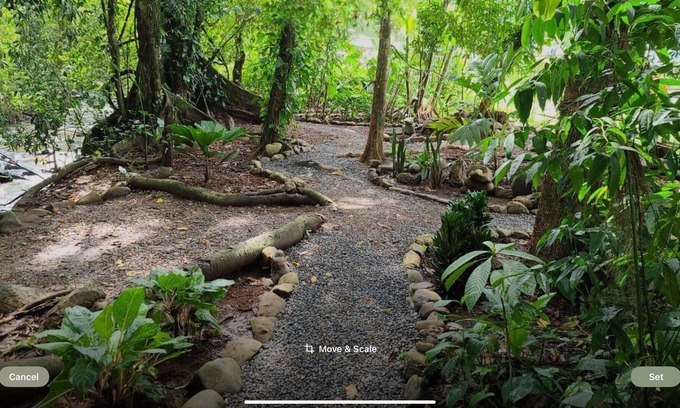 Dominicalito Apartamento | Attention Surfers, Beach Lovers, Monkey and Birdwatchers, paved access