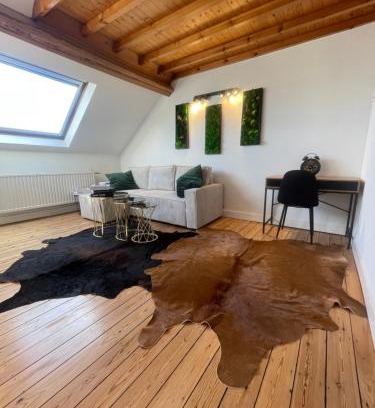 Plasky Apartamento | Attic European Quarter