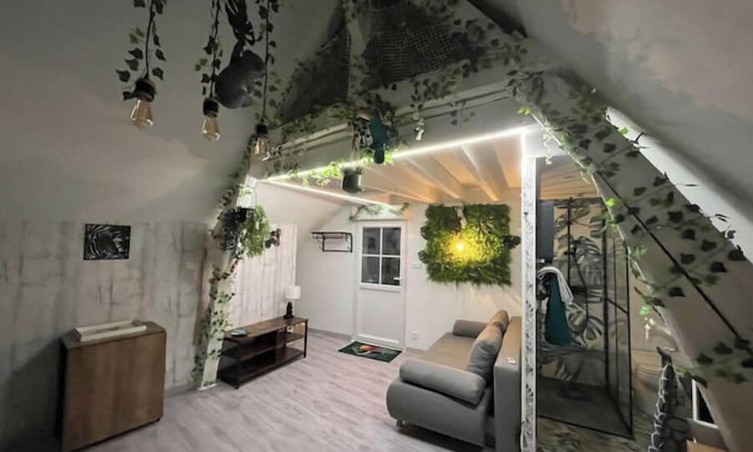Saint-Aignan Apartamento | Atypical attic studio with exterior