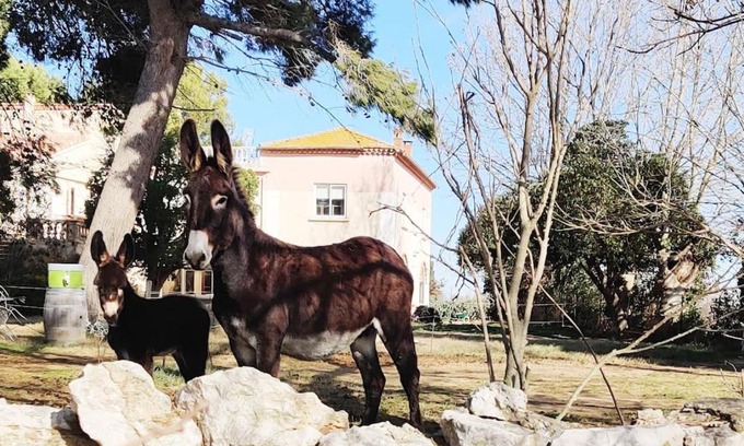 Coursan Apartamento | Au cœur de la Nature