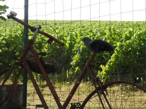 Epernay Cama Y Desayuno | Au Coeur Des Vignes