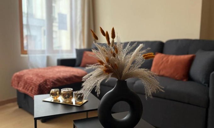 Aire-sur-la-Lys Apartamento | Au Courant d'Aire!