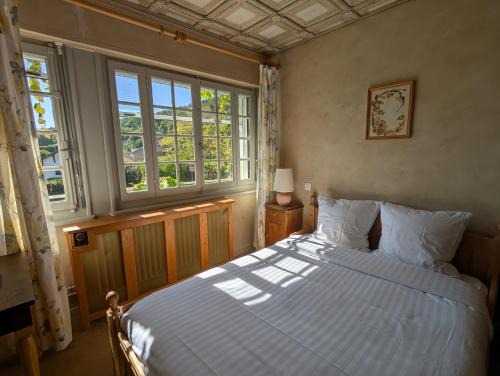 Echenevex Hotel | Auberge Des Chasseurs