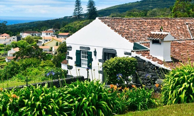Capelo Casa | Auntie's House