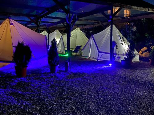 Vama Veche Otro | Aurora Glamping