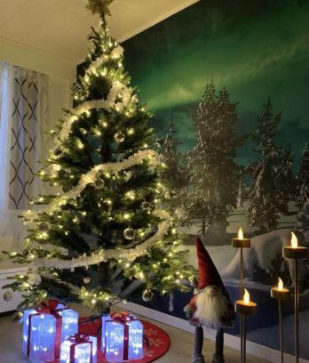 Rovaniemi Casa | Aurora Night Stay in Rovaniemi