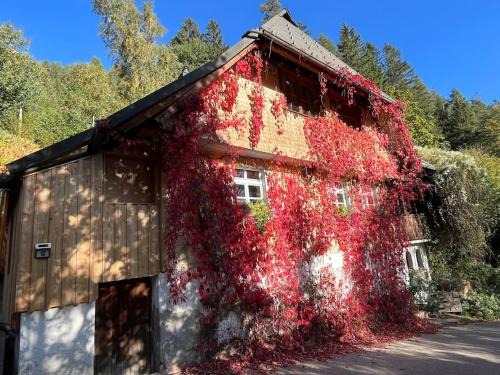 Triberg im Schwarzwald Apartamento | Auszeit am Kreisbach