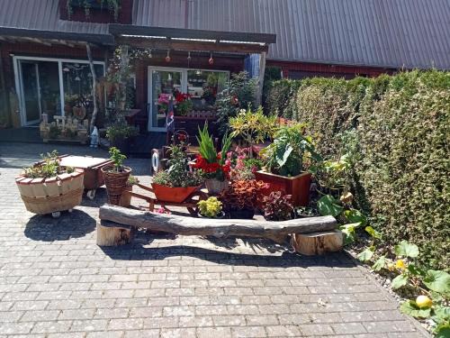 Wolfshagen Apartamento | Auszeit-Schoenenwalde