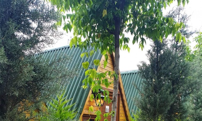 Cinarcik Apartamento | Bungalow with Shared Garden near Beach