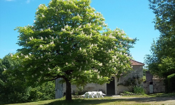Villeseque Otro | Auténtica granja de Quercynoise en el corazón del viñedo de Cahors