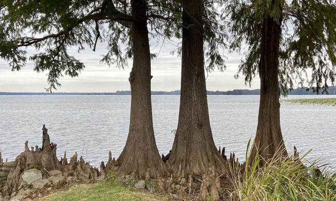 Samburg Casa | Authentic Reelfoot Retreat!