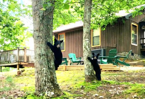 Gatlinburg - Pigeon Forge Villa | Authentic, Rustic, Cute & Cozy!