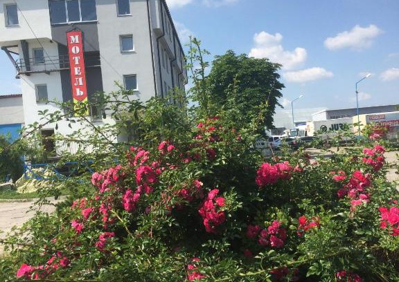Chyshky Hotel | Autopark Hotel