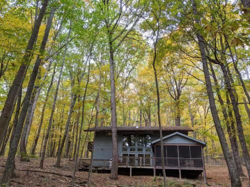 Berkeley Springs Casa | Autumn Wings - Propane Grill, Wifi, Kid Friendly, King Bed, Games, Screen Porch, Pool Access, Hiking