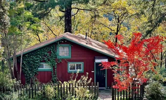 Myers Flat Apartamento | Avenue of the Giants Caraway Cottage (#3)