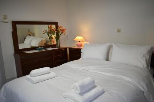 Trikala Casa | Avli Guesthouse