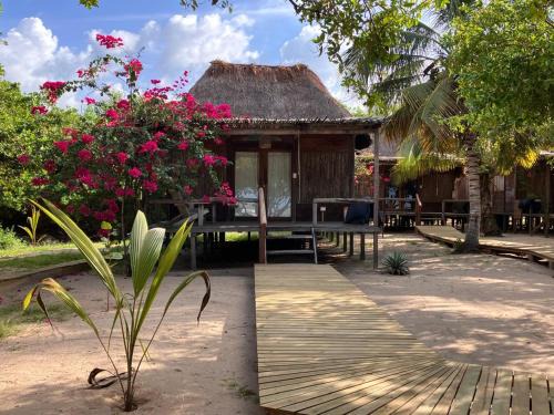 Costa Caribe Cabina | Awatawaa Ecolodge