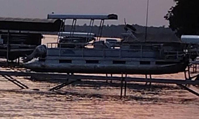 Honor Cabina | Awesome salmon season beautiful sleeping Bear dunes in the summer awesome place