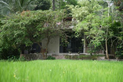 Dambulla Apartamento | Ayubowan Eco Lodge