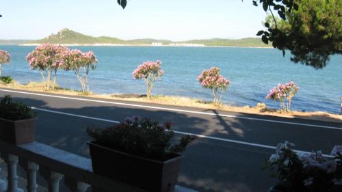 Ayvalik City Center Casa | Ayvalik Dostlar Pansiyon