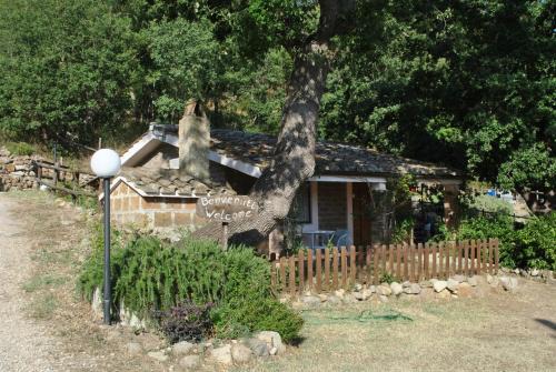 Tolfa Casa | Azienda Agricola Biologica La Cardellina
