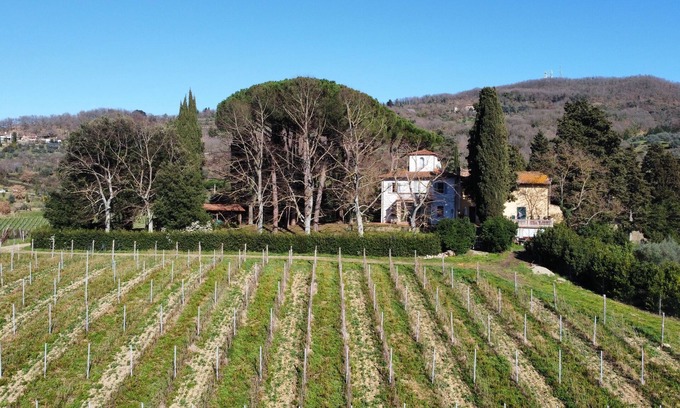 Dicomano Casa | Azienda agricola Frascole