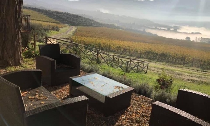 Twist Otro | AZIENDA AGRICOLO IL POGGIOLINO