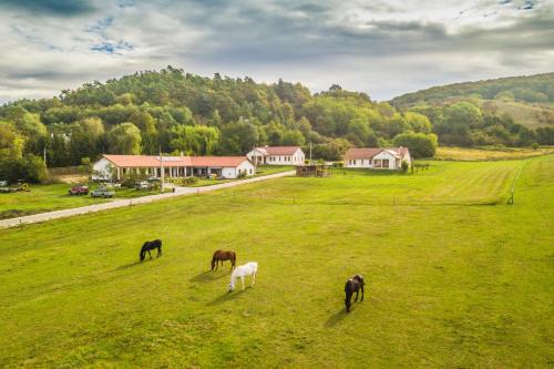 Banhorvati Casa | Bánvölgye Vendégház és Apartmanok