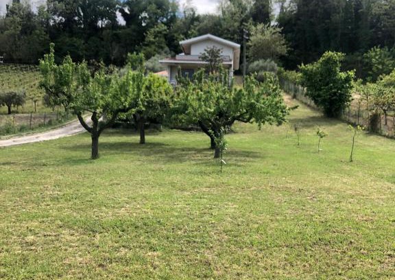 San Vito Chietino Casa | B&B AcquaViva