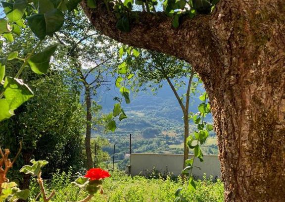 Castel di Sangro Cama Y Desayuno | B&B Al San Francesco
